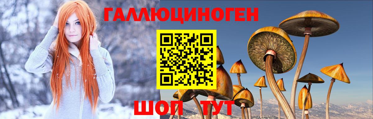 Псилоцибиновые грибы мухоморы  закладка  Лыткарино  Вход с VPN 